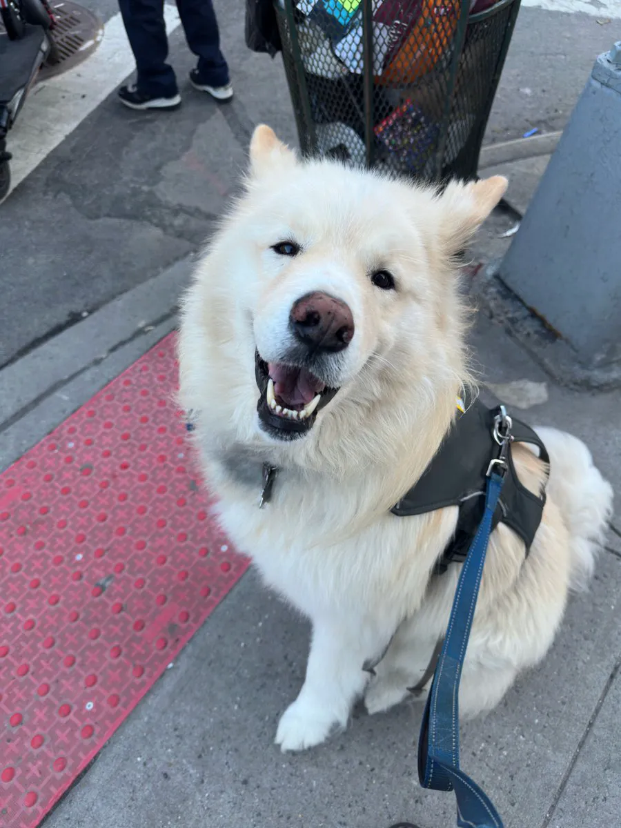 2cKcrF8jh2MbrA2N9XDTW5SYtjXiKqsYXhJL54t4AZAY