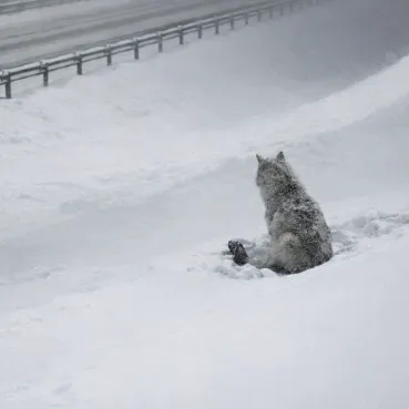 2qxhhWgBJUpJExypNC7QQXh4jdCFnn91kBA81ZAapump