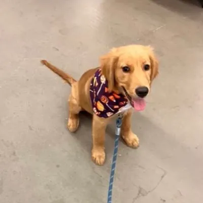 3B1ijcocM5EDga6XxQ7JLW7weocQPWWjuhBYG8Vepump