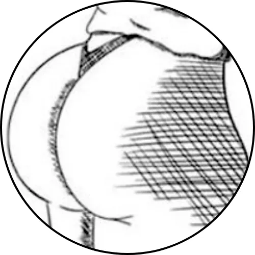 3RAp4RUMP9DNja7yVcviDZYTczHXDyojwZFiAzh4pump