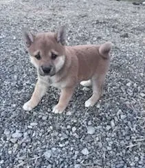 3sEvAEfZRUA1kazgTnvRQVJMFK2UHuVw2yn49U2vpump