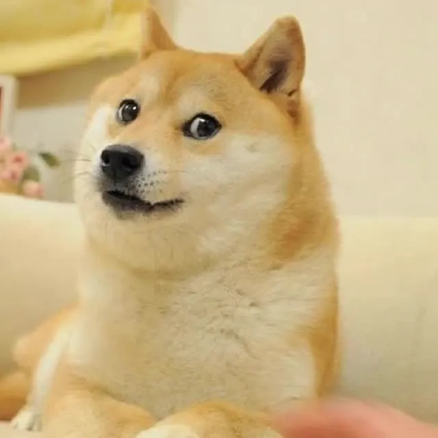 4yySZom4AmK9KzjfT4G5ihg1zctTRo3cytyUwx8FHDUB