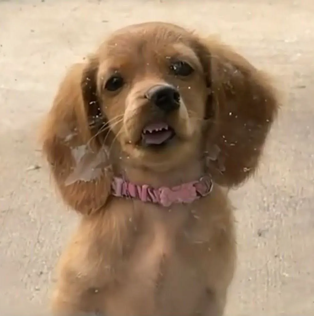 521yeakSVDRHXuYGKopmXq9GJsvJSMef55PnQrAkpump