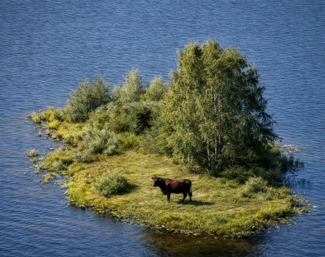 5AHbRZb97P79BbEfBDeyxxYkvJFQVMwqhX3TBRcRpump