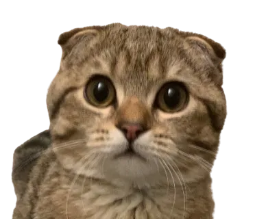 5Jr9hGmJgxBRjjF8XGcGgQzXUdsbpZNNMpigEv8Wpump