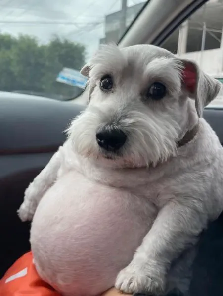 5rZPcMyADQF6HFrMuFY6rCCfjgV2JoJyWTPuZZyVpump