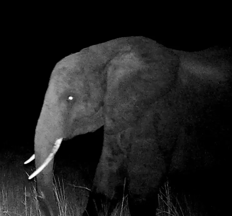 5xzTZLkZunetgQYUTTxcRzg33MKRnmkxK8Vm1ZKrpump