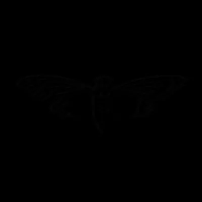 6RLKHhdsTwWqz7kRkdigL4488sNYJAYJR3589zjLpump