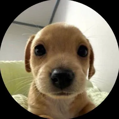 6RpLB6vvobVevJB9KczgbYWyJaAUSeZ6ghahdS8Cpump