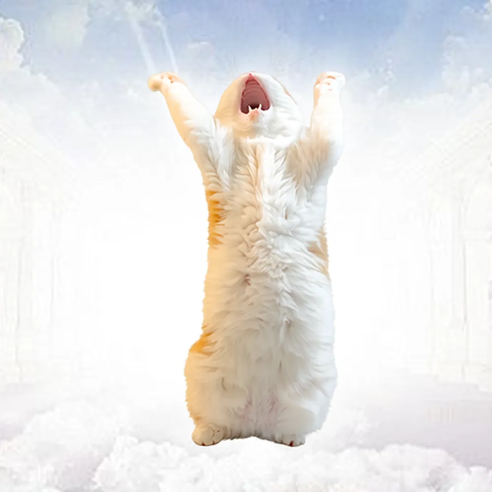 6U7dRWrSoRKF28ukKzY7z7UEsBWGT9KCbBjyr25Zpump