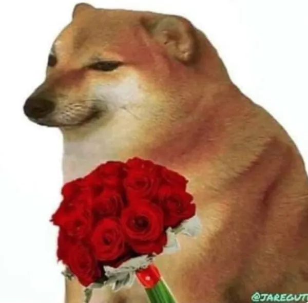 6mrFUCd3ECmpuz5b23vyGze6pRdngfcxizGQuVBfpump