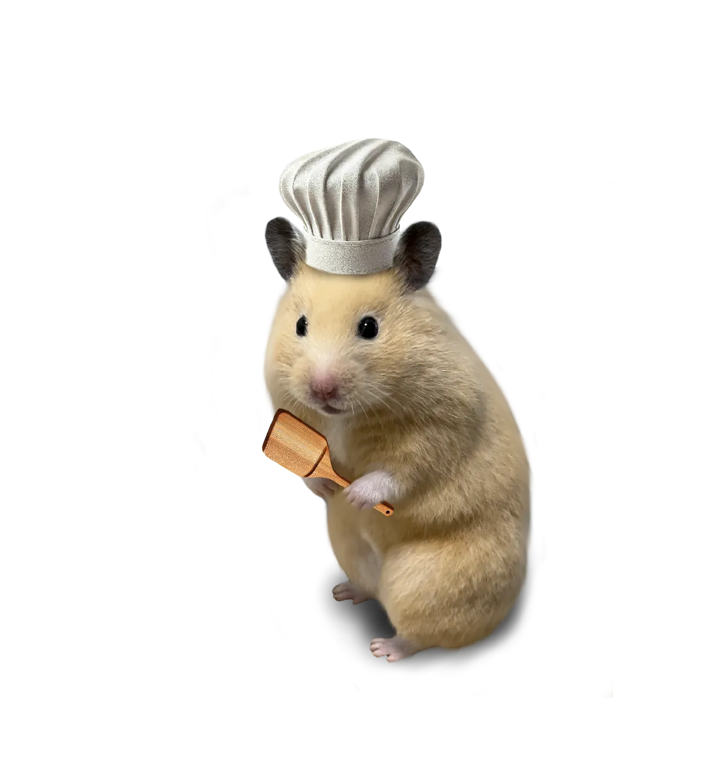 72SJGYzuswv8TY8RLASc9yFuzE6CrUbzVYEezxQ6pump