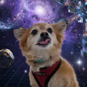 7XSi4dnBxvQ2Dc4jc6ozrR3tvMAqY37TXdj2TfDWbonk