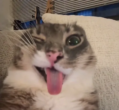 7zD6RbP5VhjHW5Jai3XHdb5zcitDfJE3vGwNzDKmpump