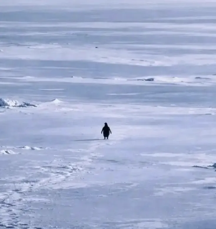 8Jx8AAHj86wbQgUTjGuj6GTTL5Ps3cqxKRTvpaJApump