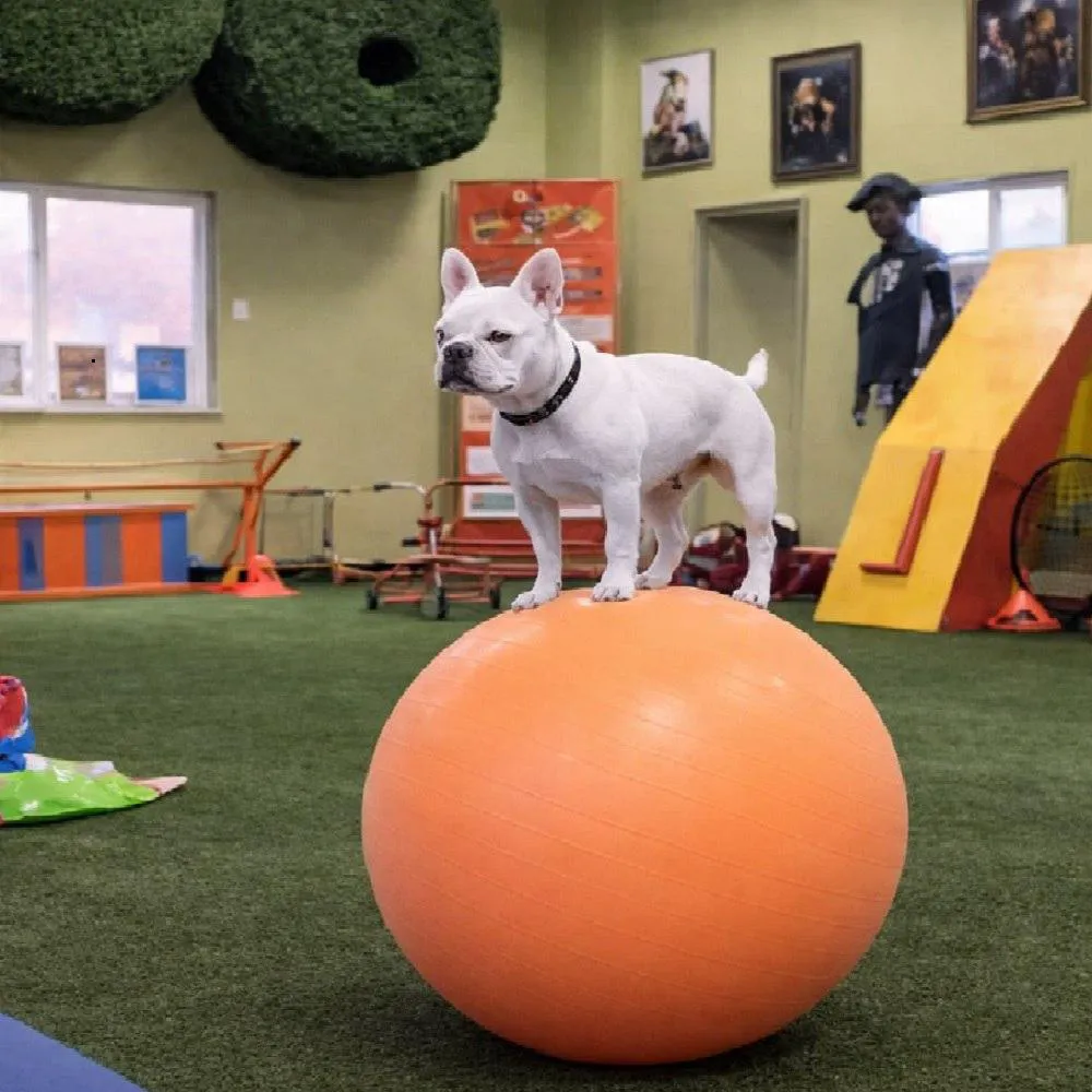 92LgZbFuoapTjGj2o2w48dPBRhfC5CESe5wjPinxpump