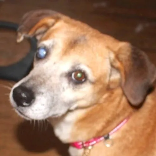 94ag2bTrsfm58B3E5nWkHT4kniNGqPiThyB49U7mpump