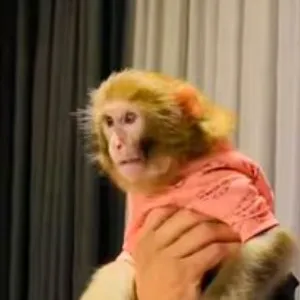 9CWKLPEQqxxi34kcZJEMV5oXU3ESNCgdFgW9haMypump