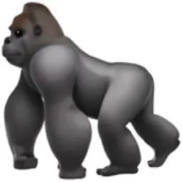 AJwp78VvKyA4mFmvrZk9sLL5uJ2XccytmPUx8iEppump