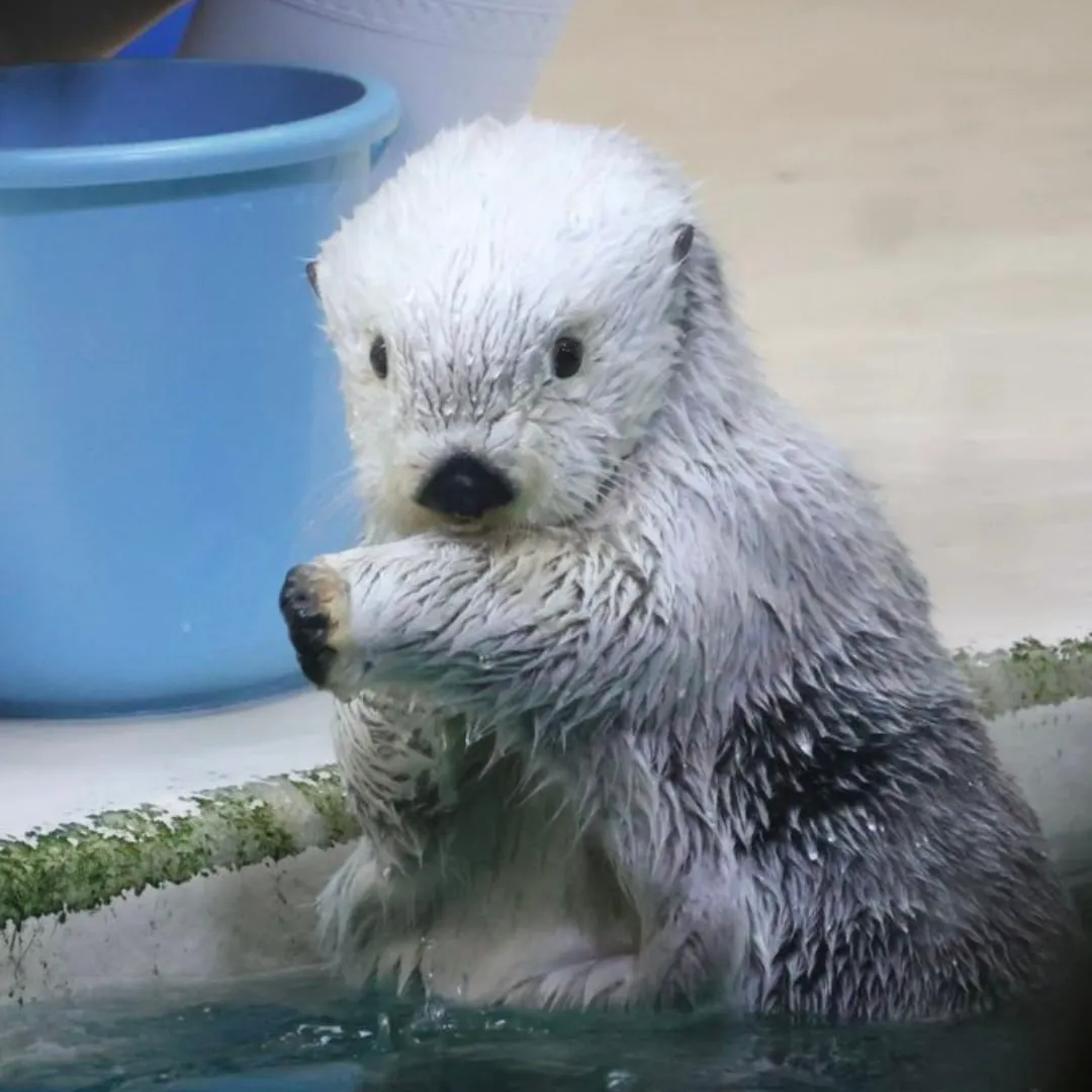 AcZBJPaabCqECpT7bFX4uxtcbvz33FiCcv22AUTXpump