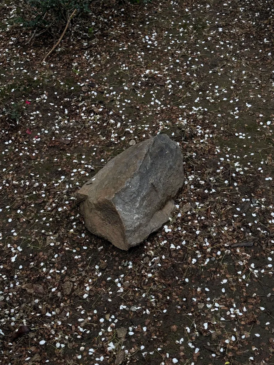 AyqmSub28Jt1gqnRa1vQe2RMg5sMAgdRt24x79mps4Bd