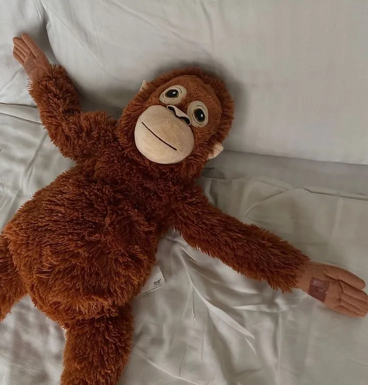 B8UruRxFvAoTZoSg7waHFkGJ96nHPso5VbEkVAzapump