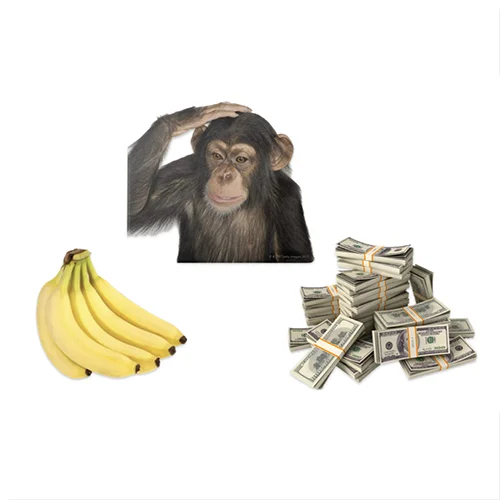 BGtbskacwFYJ1ynXgBsseaPN8RywcJp7cW42nDR4bonk
