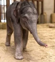 BsXmXxfwQWks6WHtfmo5q3Ji4mQieEx2WNWmUUe1pump