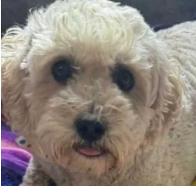 Bxogn1WHZf9NbwLyn23CMZBSKuRcA9W9eV5AqSaopump