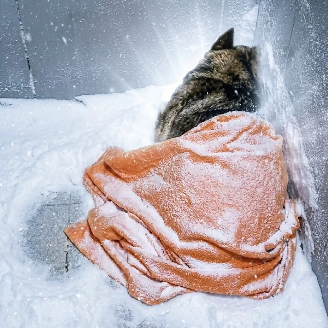 BzW55BCUM9Uq3QPaXjdJk5xu7Fhbu5vHp4Dipfppump