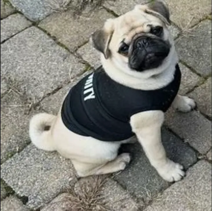 CCgH8T82ABC7Krg4bR4Jj2yotiDQdzk3yg6GLLUApump