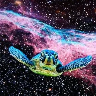 CPXEwRSQQaHswgAf4gJG9drkH15WeDFaYbeqniDppump