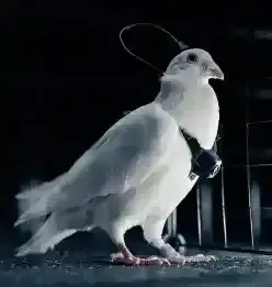 D7uusqbYSbLDEDF8cT9FekqegEYhotgVm3D6RCoBpump