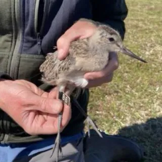 DBoMM2jYv2eE4DxtZJ7chQnsJowZqpesuJSwGfwRpump