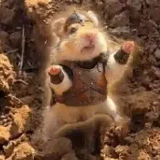 DD4jtnKdyPakShSx1JRwHu7Sk1UouM6Yn9vwtQJGpump