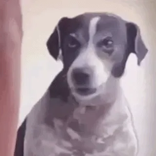 Dwn2kHStyi8L6kJRVwiwn6PdCB1jjX6Q2tTsWydjpump