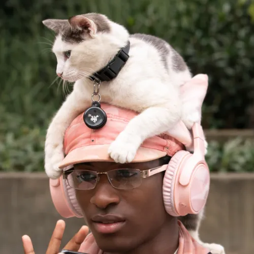 E6PEz213eSGj4bgkwR75kiXpur7TMGa71TeNBfiipump