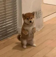 EvfM3REU1D3xgd4AdDNR6nyDR56oes89dDFNb39epump