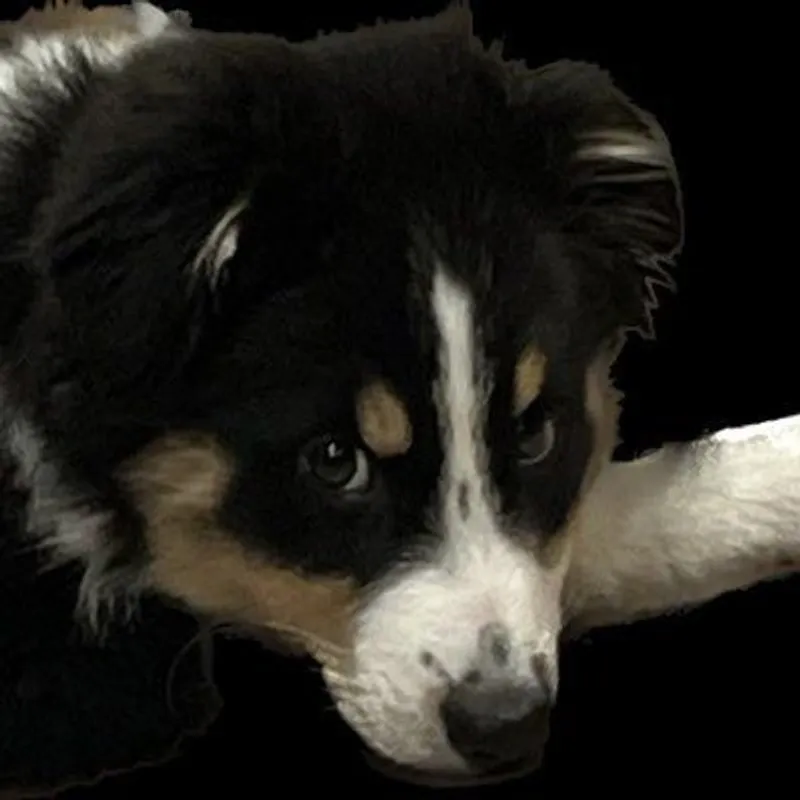 F6WCzj3h4x8Sb7z3ojgcpDtzAYBPrY5XMXzueWe5GAcV