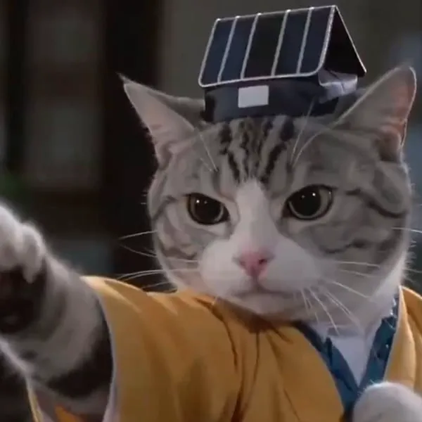 FP7NvFXQXoZL1nQC5QZtE1bzwgALdxj1TeA9J25epump