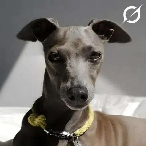 FWDMdyosjJg9X76jdYSZoUPTRCy7Y8fAThwasnEnpump