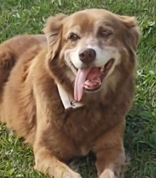 FYdk4HrnBWzAuCzNYVWCREiawxzPDcnBoEUH1KPUpump