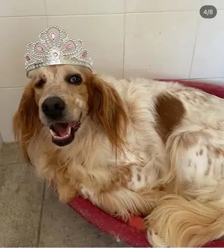 Fn2QfmA92Jp2xrkLkcjUqCUDDhegR1ARZykUw2b5pump