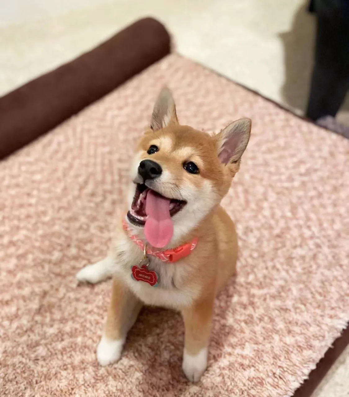 G7YnkPJH35Y3U5J3avHrpAJ9FBHDwsc2dm1ukczApump