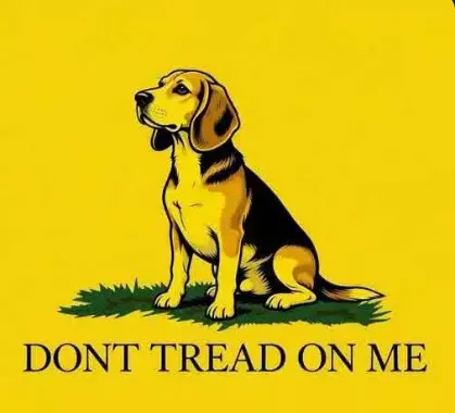 GGJgFQb2vgnP7eeTke1ZoLo9NNjumidS9YuBEq6Npump