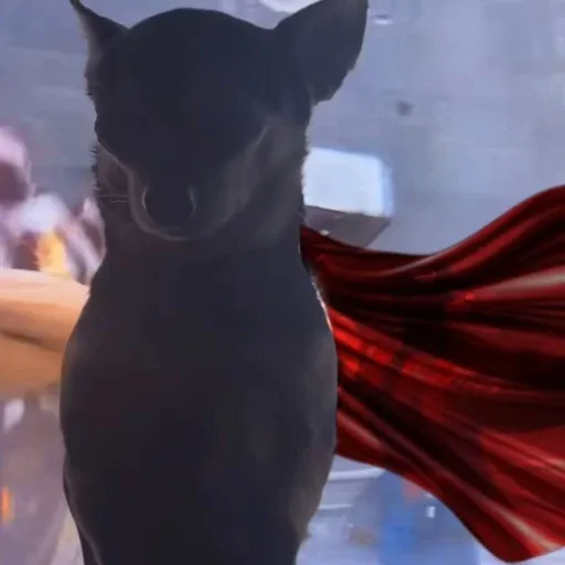 GKnx9wtVgA95ZGkTkav8Gs3s3yps8UmGioDUi7kJpump