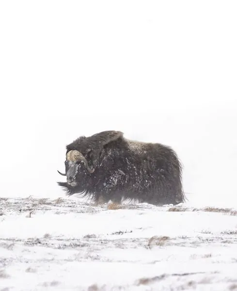 GZLrt1boCGiV7VZMh7vAhF4JVF15p8BUq6DqfiZ6pump