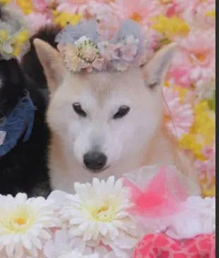 GpcBeEAmn9DGjUSyfzBpuXH7yj8dsT4wzZ3iBaZTpump