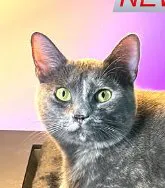 HRBgADkLFjDJ4XRKBZvi2z8VCq9ezAjfUYe3ogsNpump