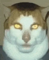 HfbWJWCnWtRrDj5objPbhXS4EkYwD6Nni5YUqnNVCuic